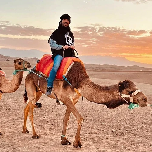 Safari-Marrakech-Camel-Trekking-Experience-in-Marrakech-02-ql70xm21h81mrctxybx8jjlpouw9e3aqndisazqetk (1)