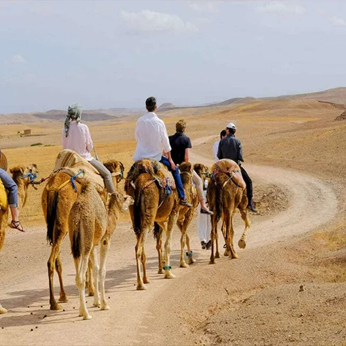 Safari-Marrakech-Camel-Trekking-Experience-in-Marrakech-03-ql70xm21h81mrctxybx8jjlpouw9e3aqndisazqetk (1)